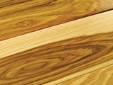 HD Nature Hickory